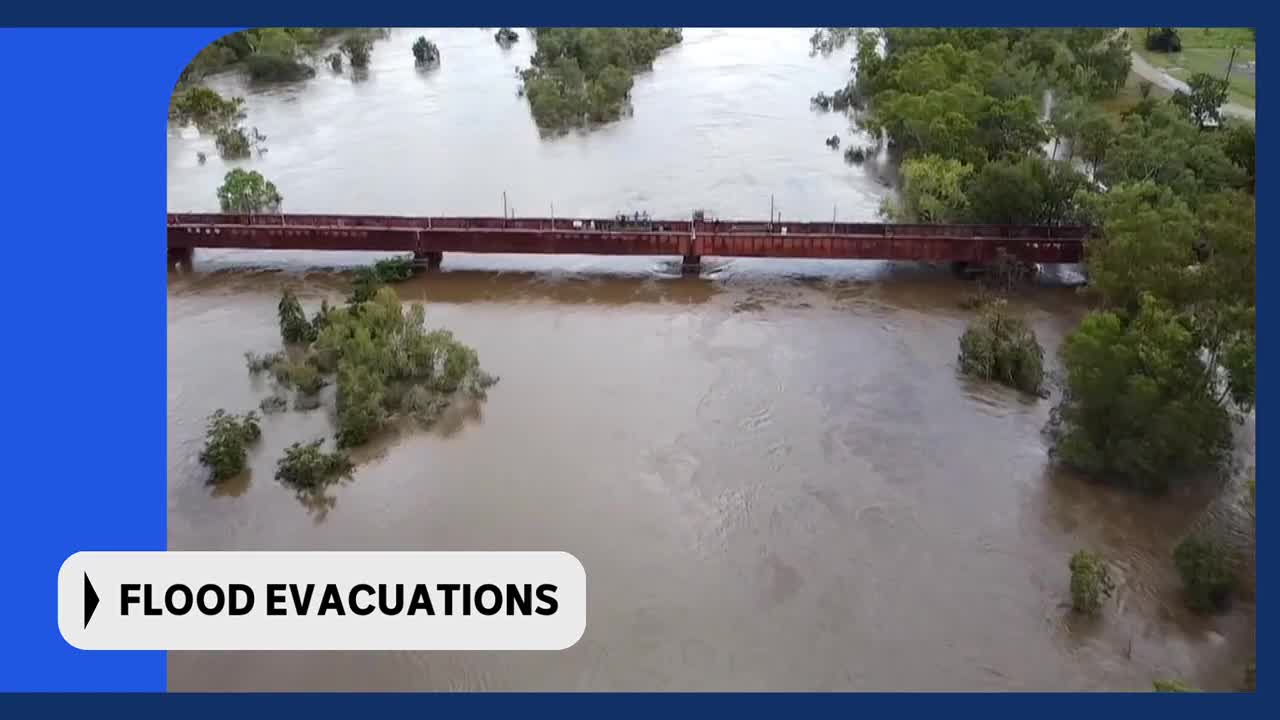 The river is a muddy brown, swollen high around the trees. A train track bridge stretches across the water, with a few people visible on top.