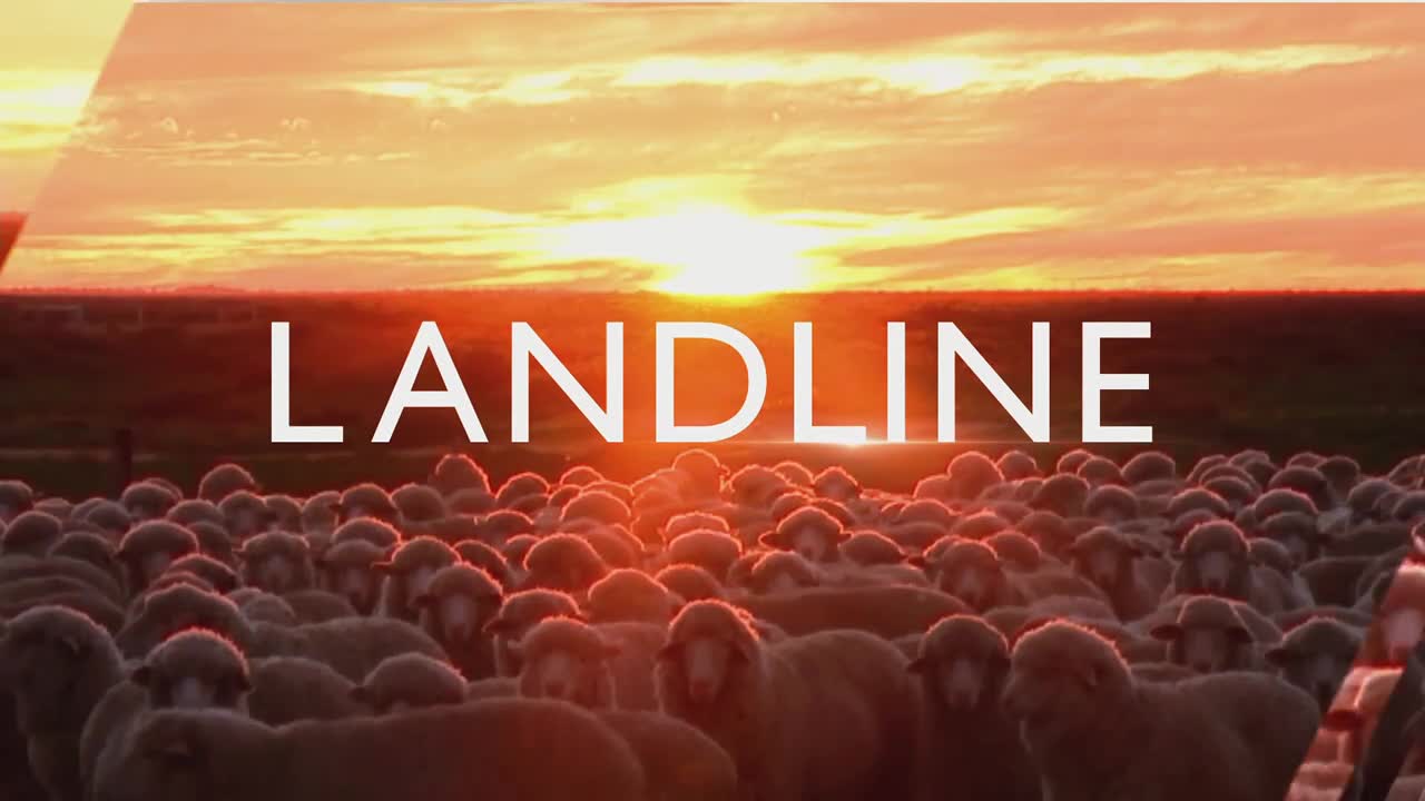 A vast flock of sheep moves together under a fiery Australian sunset. The word "LANDLINE" is superimposed across the scene.