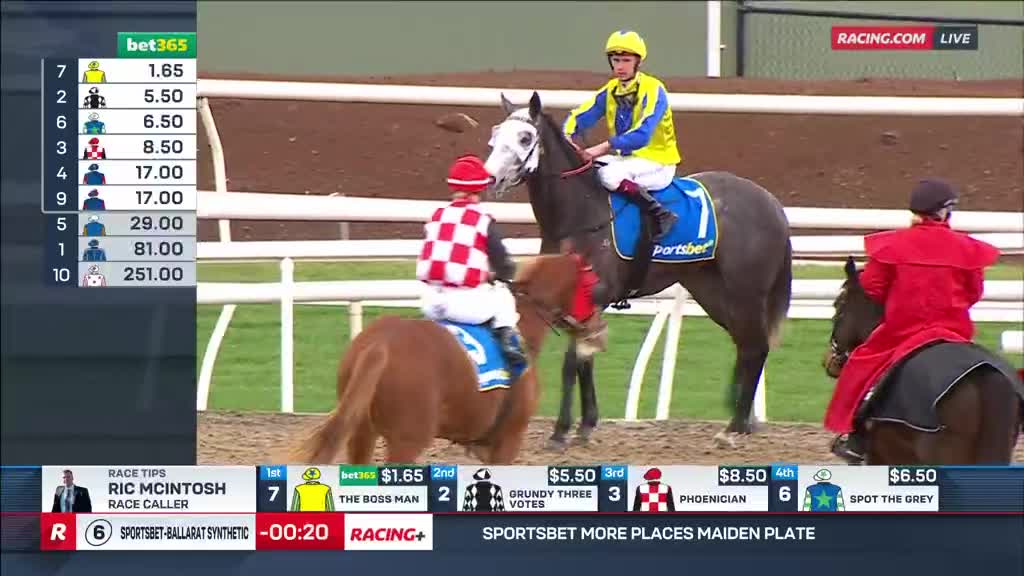 A jockey in yellow and blue sits atop a dark horse, number seven, while another in red and white checks looks on from a smaller pony. A person in a red coat is riding a dark horse in the background.
