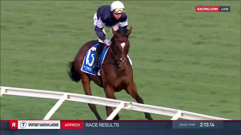 The jockey, in white and navy, leans forward as the brown horse strides powerfully down the track. The Racing.com broadcast displays the race time as 2:13.14.
