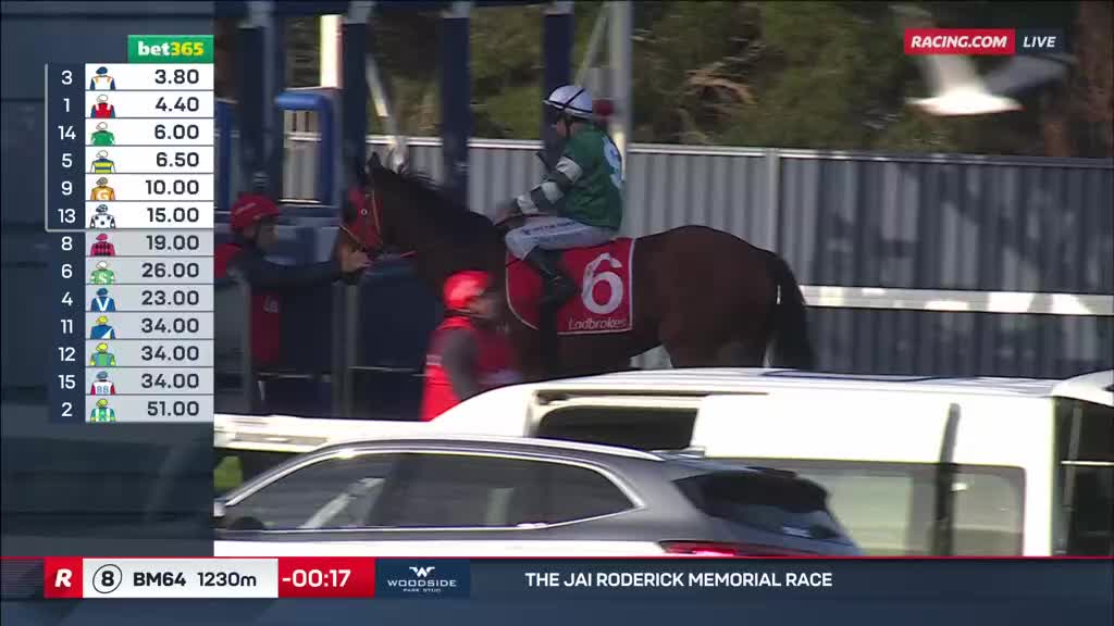 A jockey wearing green and white sits atop a brown horse, number 6, in the gate. The horse is being held by a handler in a red shirt, as the race is about to start, live on Racing.com.
