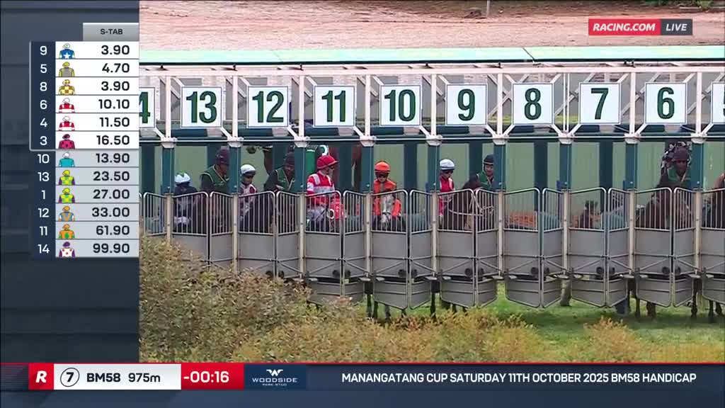 Jockeys, each in their silks, sit poised in the starting gates, waiting. The numbers above the gates are clear, and the clock ticks down on Racing.com.
