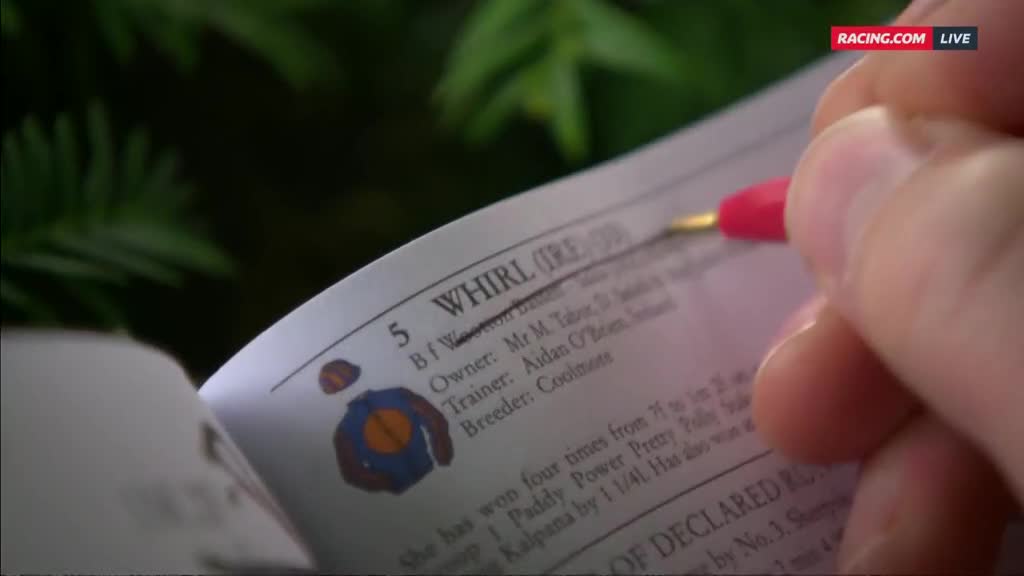 A hand, holding a red pen, crosses out the name "WHIRL" in a Racing.com form guide. The camera focuses on the detail of the pen's stroke and the printed text.
