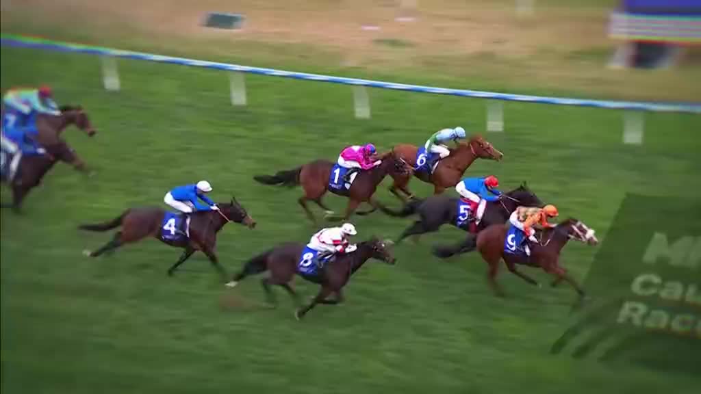 Horses, ridden by jockeys in brightly colored silks, are thundering down the track. The lead horse, number 1, is neck and neck with number 6, as they approach the finish line.

