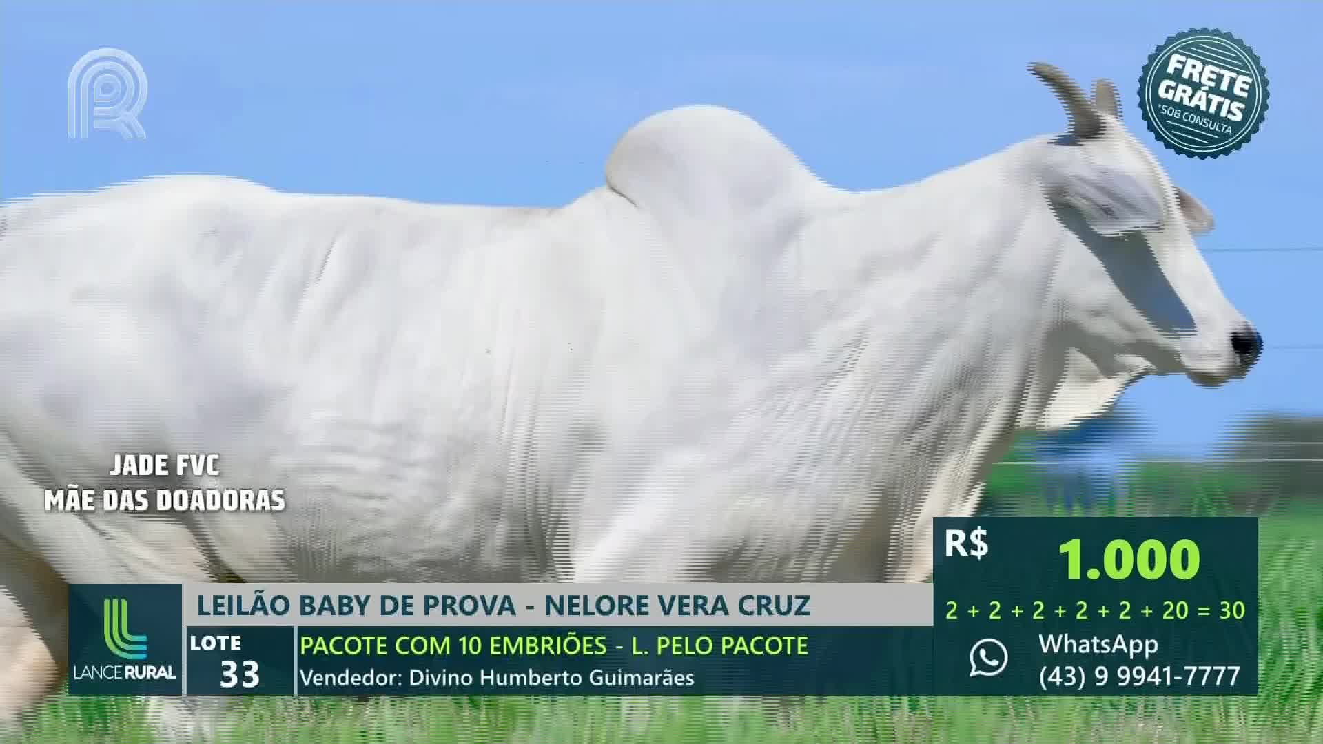A large, white bull stands in a field, its form highlighted against a bright blue sky.  The screen displays the price, and details about the auction, which is being broadcast on Canal Rural from Brazil.
