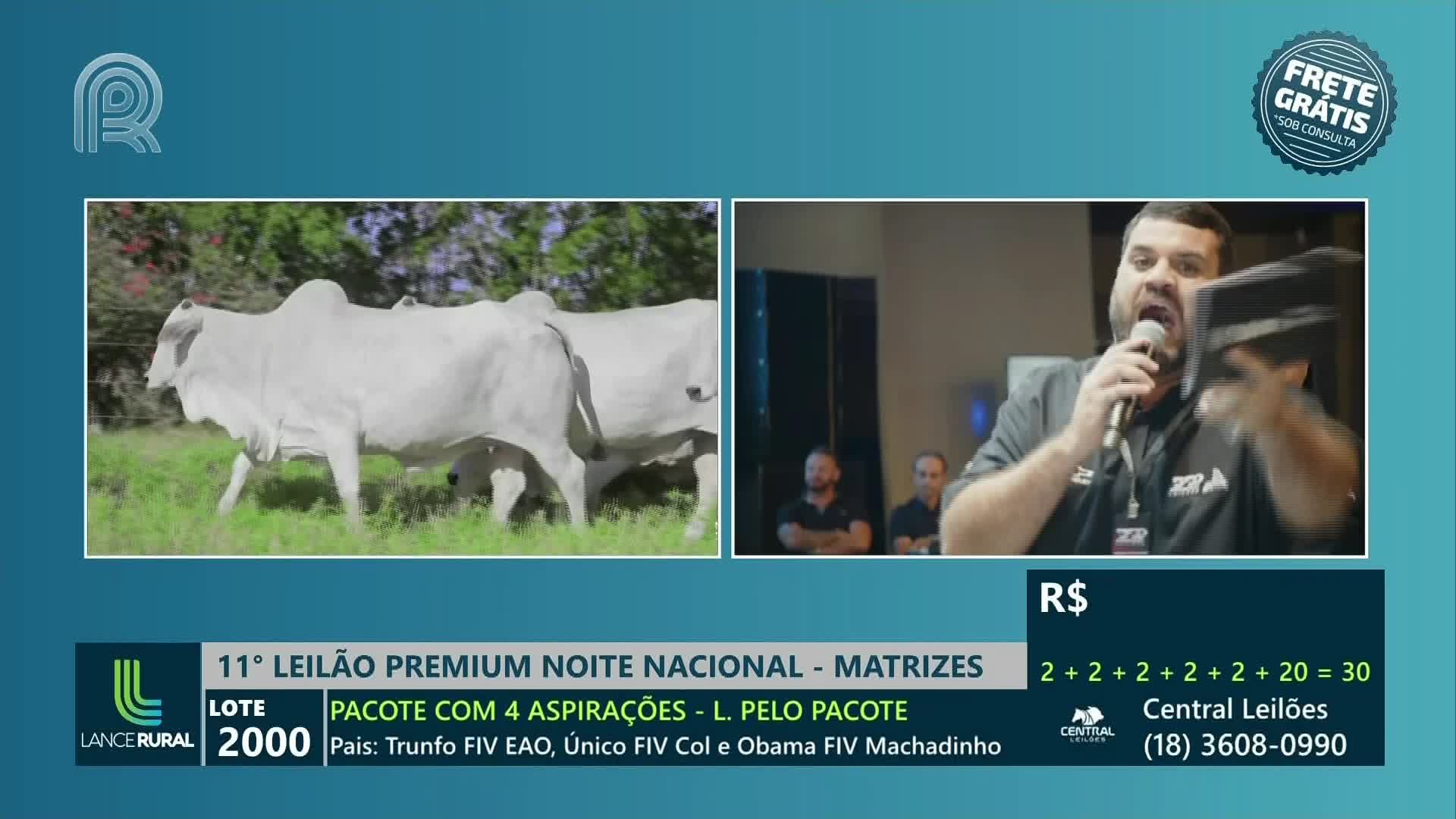A man with a microphone is speaking with great energy, gesturing towards a screen showing cattle. On the left, two white cows graze in a green pasture, likely part of a live auction broadcast from Brazil.
