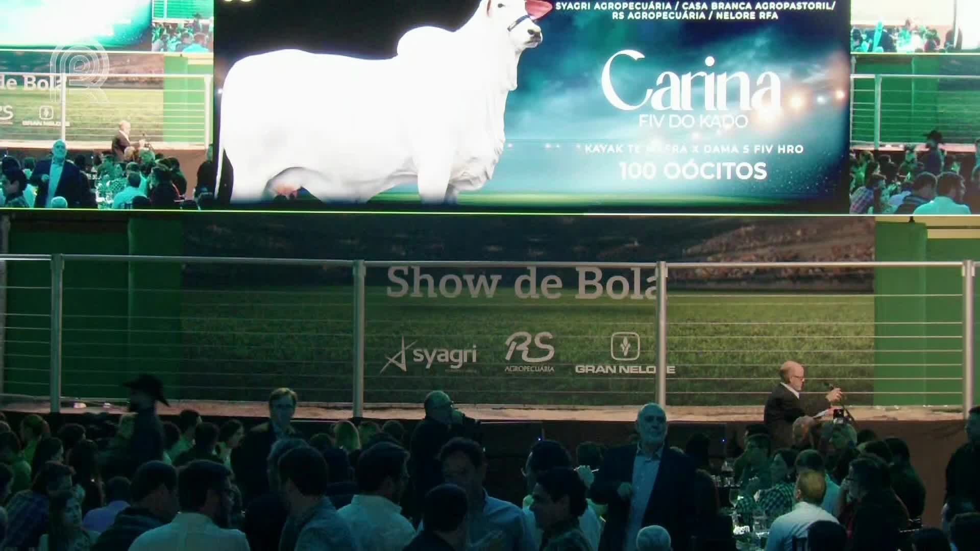 A large screen displays a white bull with the name "Carina" above it, as a man in a suit speaks to a crowd below. The event, "Show de Bola," is sponsored by agricultural companies.
