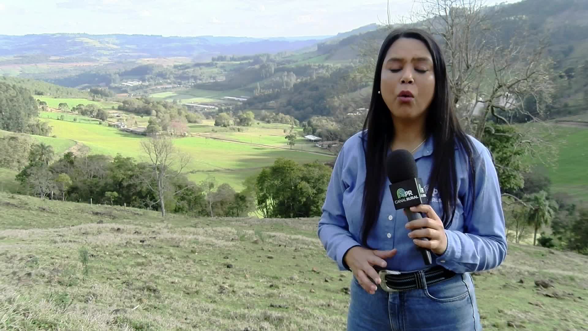 A reporter from Canal Rural in Brazil stands on a grassy hillside, speaking into a microphone. Rolling green hills and valleys stretch out behind her.
