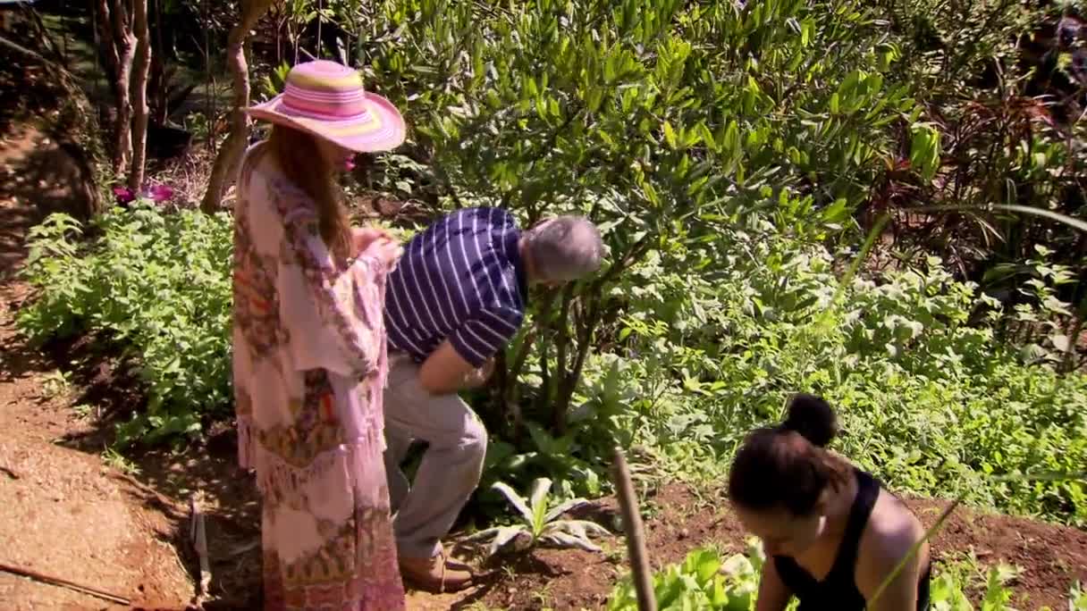 A woman in a wide-brimmed hat and flowing robe looks on as a man in a striped shirt bends over the plants. A third person, in a black top, tends to the greenery, likely in a garden somewhere in Brazil.

