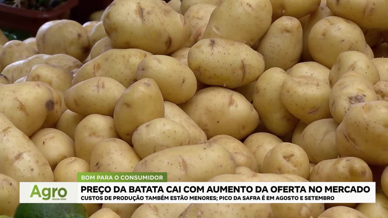 A pile of potatoes, freshly harvested, fills the screen, likely part of a segment on Record News in Brazil. The headline reads "Potato prices fall with increased market supply," and the peak harvest is mentioned.
