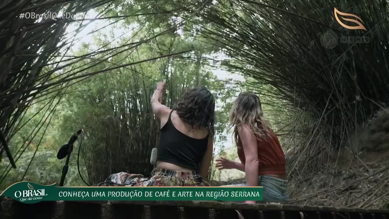 Two women are seated amidst a dense bamboo grove, one pointing upwards. A microphone stands ready for recording, suggesting a broadcast for Record News about coffee production in Brazil's Serra region.