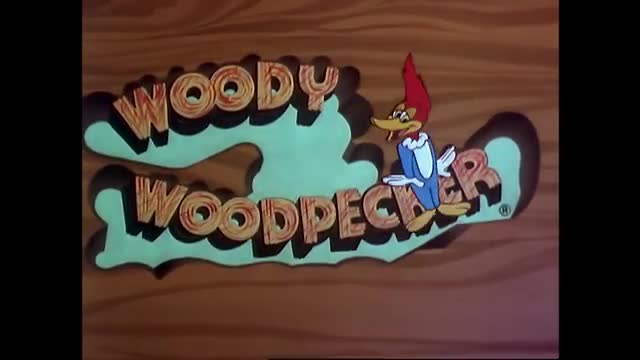 The cartoon woodpecker, Woody, grins from his perch on the "Woody Woodpecker" title card. This familiar logo, likely from a Rede SPTV broadcast, is rendered in bright, stylized lettering against a wood-grain background. The cartoon woodpecker, Woody, grins from his perch on the "Woody Woodpecker" title card. This familiar logo, likely from a Rede SPTV broadcast, is rendered in bright, stylized lettering against a wood-grain background.