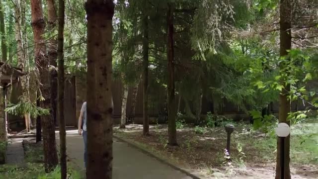 A person in a light shirt and jeans walks away down a paved path. The path winds through a dense forest with tall trees and dappled sunlight. A person in a light shirt and jeans walks away down a paved path. The path winds through a dense forest with tall trees and dappled sunlight.
