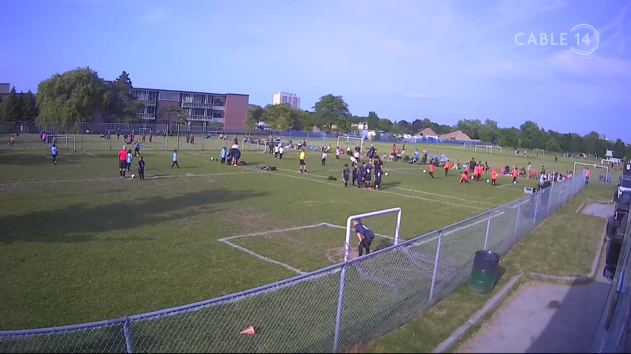 Kids in blue and orange jerseys are scattered across the field, kicking soccer balls.  The Cable 14 camera captures a youth soccer game in progress on a bright day in Hamilton.

