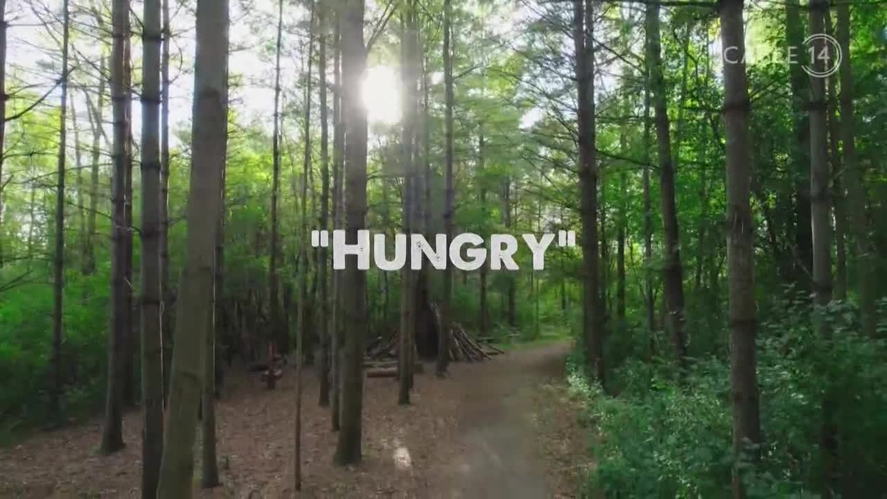Sunlight streams through the trees, illuminating a path winding through the woods. The word "HUNGRY" is superimposed over the scene, likely a Cable 14 Hamilton broadcast from Canada.
