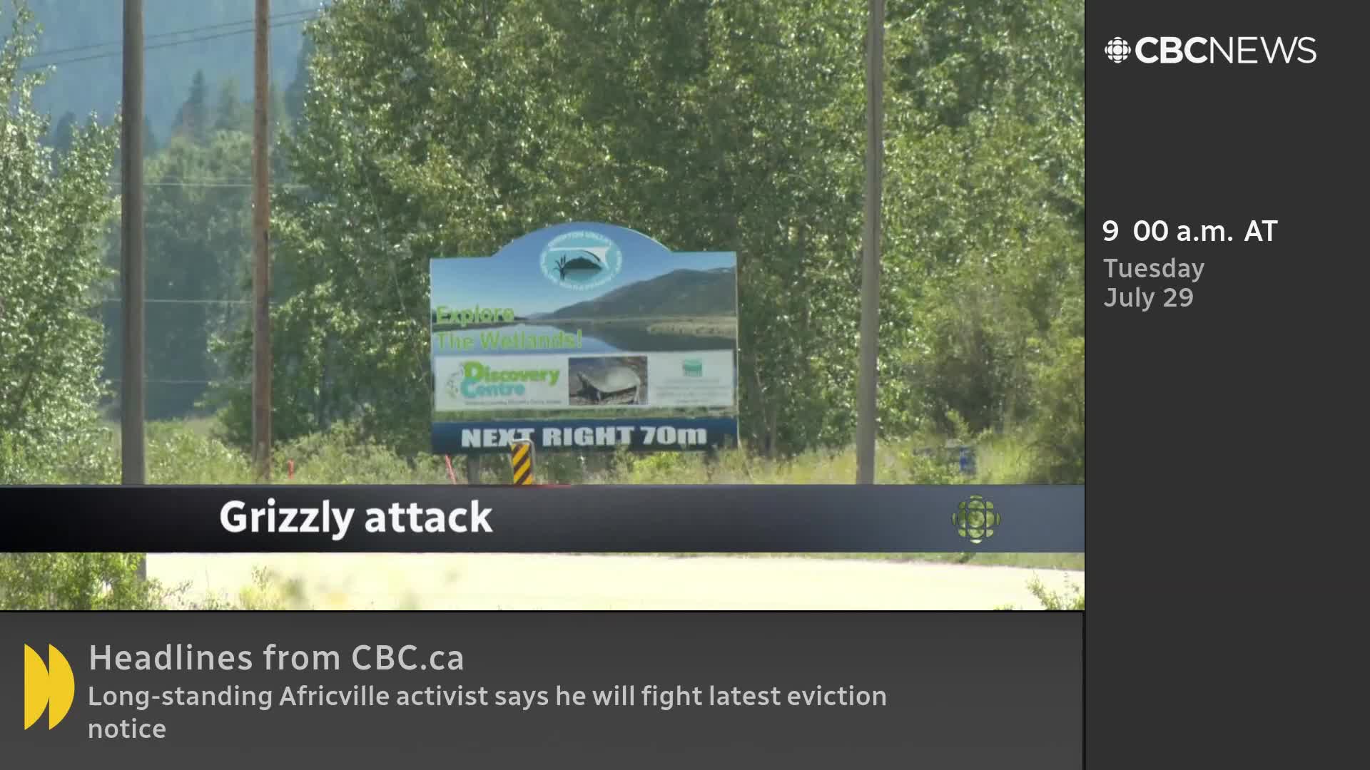 A sign for a Discovery Centre is visible, with the CBC News Network logo and time stamp in the corner. The headline "Grizzly attack" appears across the bottom of the screen.
