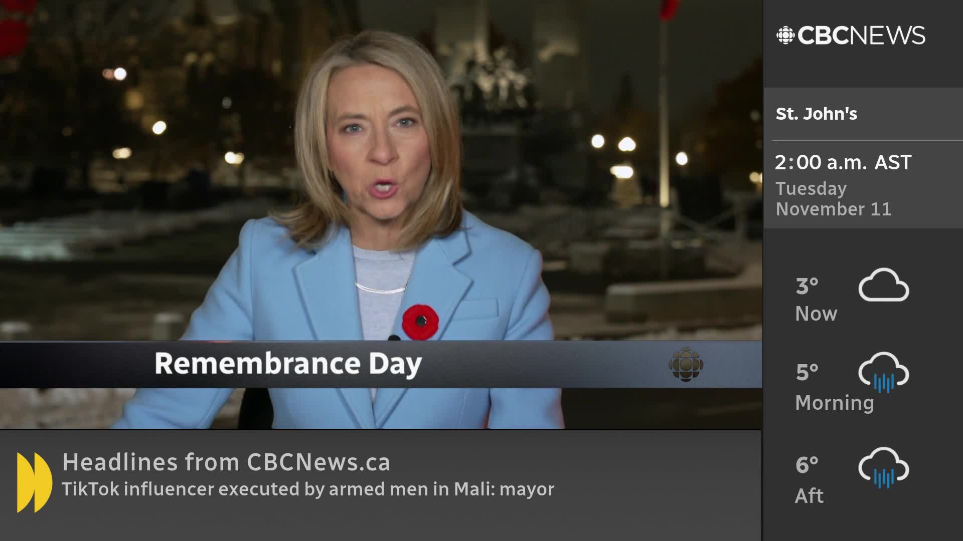 A woman in a light blue blazer speaks directly to the camera, a poppy pinned to her lapel. The CBC News Network broadcast is reporting on Remembrance Day, with weather updates for St. John's displayed to the side.
