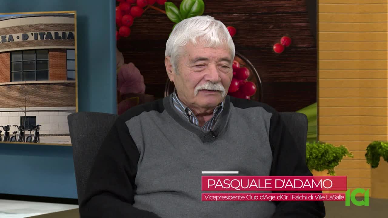 Pasquale D'Adamo, Vice-Presidente of a Club d'Age d'Or, is seated in a chair, speaking on CFHD-DT. Behind him, a framed picture of a building and a decorative backdrop add color to the studio.
