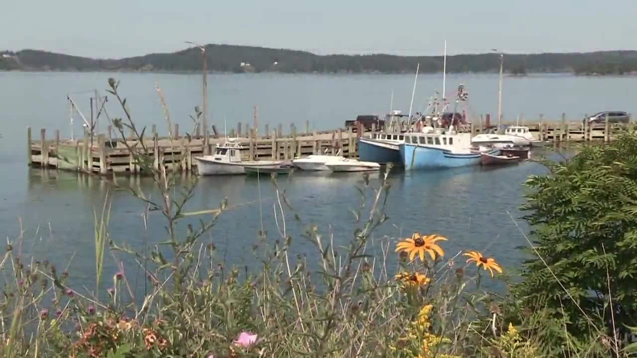 Boats are docked at a wooden pier, their masts reaching towards the sky. The water is calm, reflecting the distant treeline under a bright sky, likely a scene from Canada.

