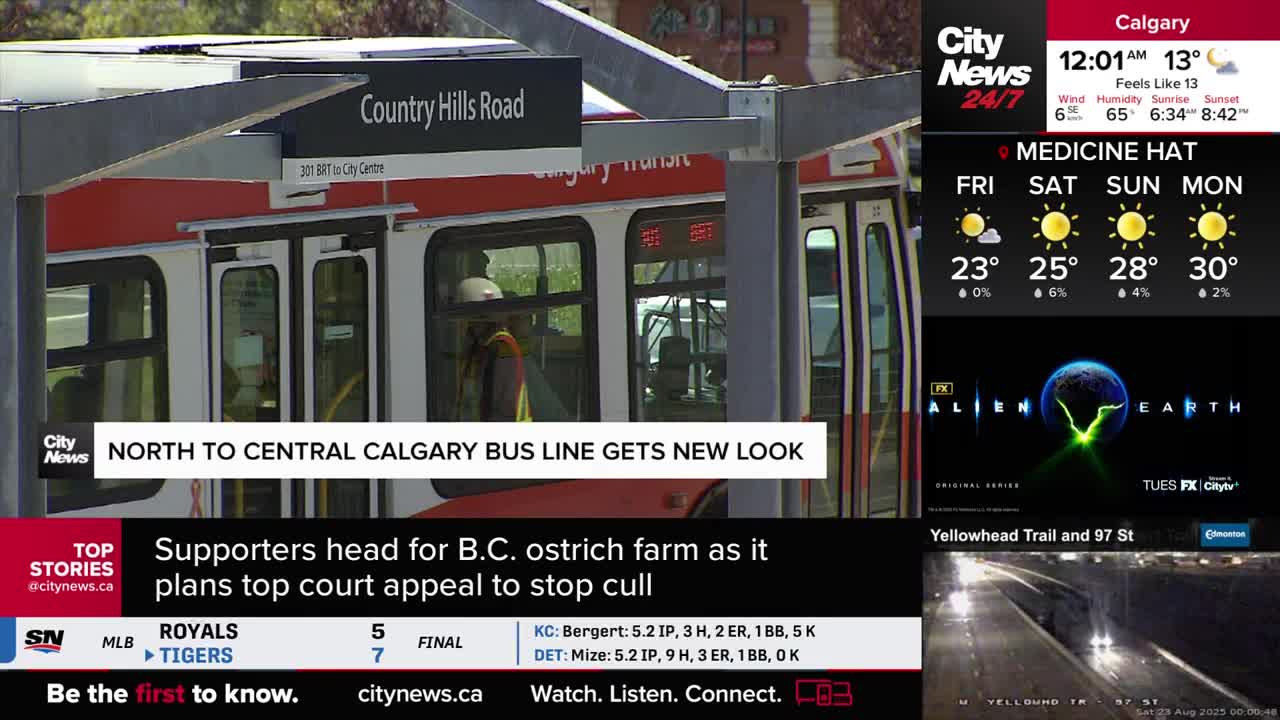 A red and white Calgary Transit bus is stopped at the Country Hills Road station. The CityNews Calgary logo and weather report are displayed on the right side of the screen.
