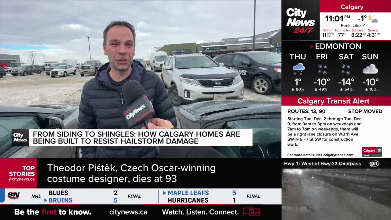 A CityNews Calgary reporter stands in front of a row of cars, a microphone in his hand. The headline on the screen behind him discusses how homes are being built to withstand hail damage.
A CityNews Calgary reporter stands in front of a row of cars, a microphone in his hand. The headline on the screen behind him discusses how homes are being built to withstand hail damage.