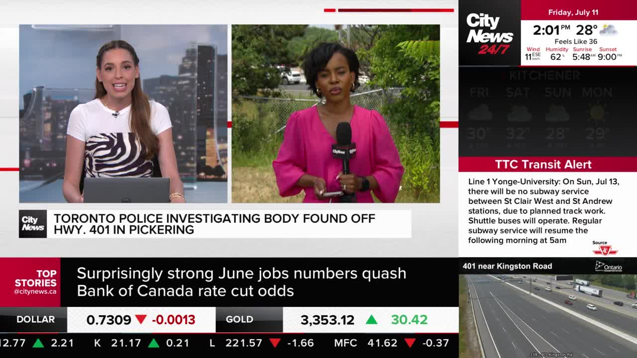 A CityNews Toronto anchor in a pink dress is reporting from outside, holding a microphone. The screen shows a live feed of the 401 near Kingston Road, with traffic moving along the highway.
