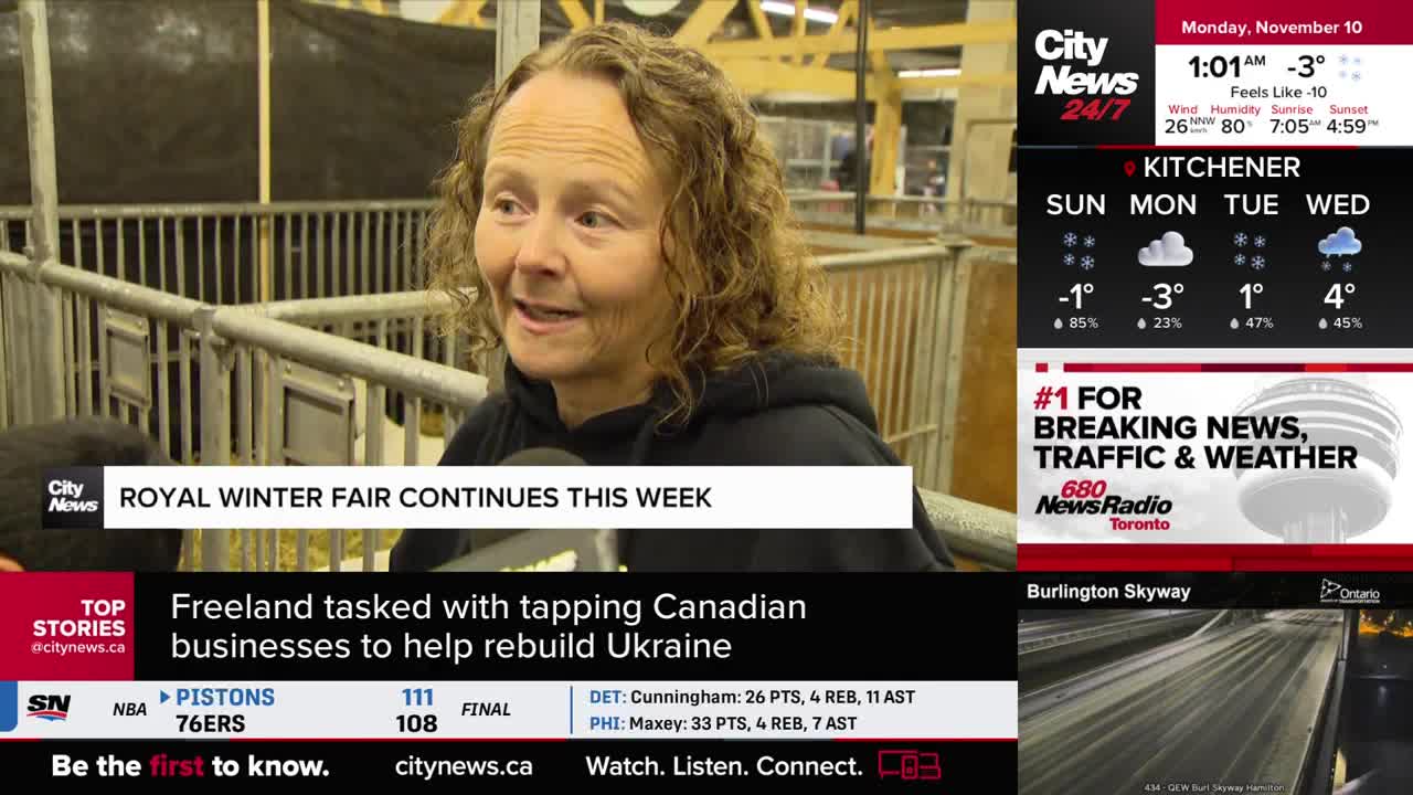 A woman with curly hair is speaking into a microphone, likely for CityNews Toronto, at the Royal Winter Fair. Behind her, metal railings and what looks like animal pens are visible.
