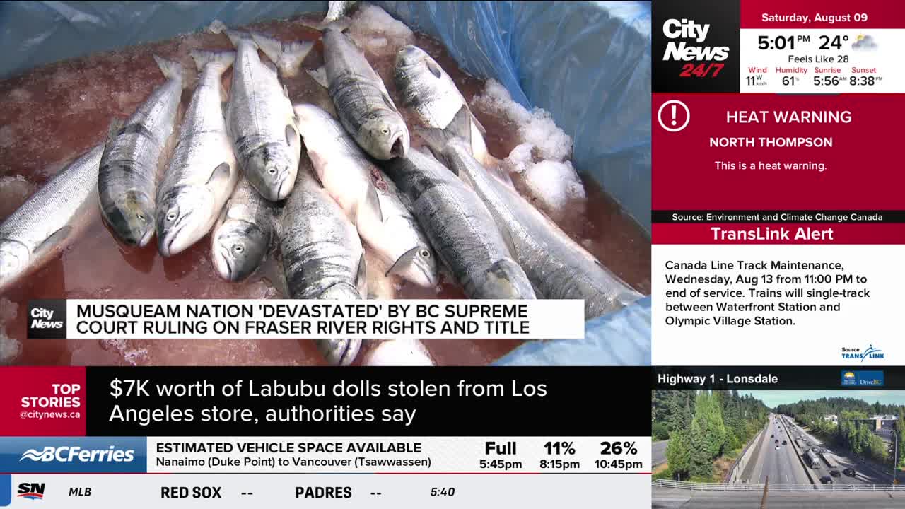 A collection of silver fish lies packed in ice, the scene highlighted by a CityNews Vancouver graphic. The text above the image reports on a court ruling impacting the Musqueam Nation.
