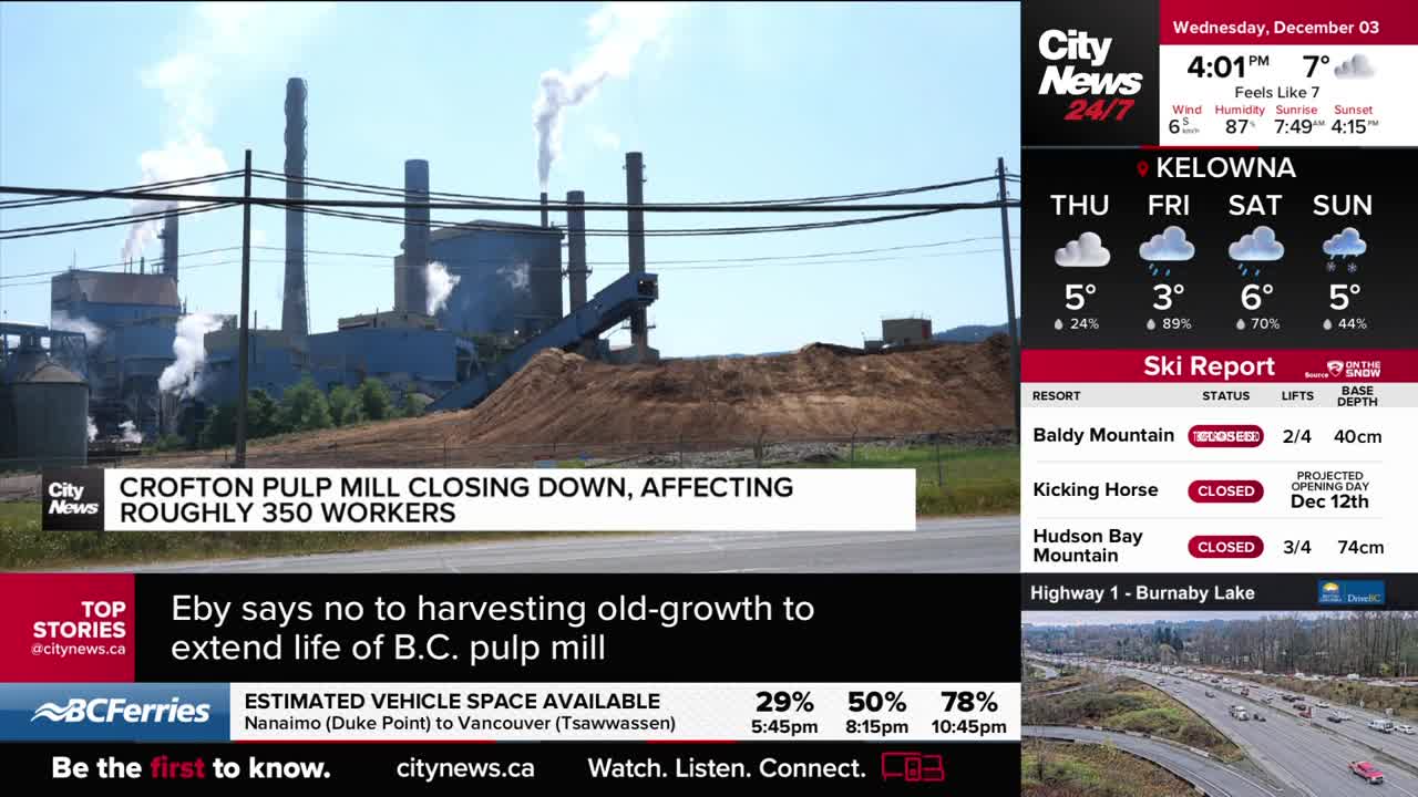 A pulp mill, likely in British Columbia, puffs white smoke from its tall stacks. CityNews Vancouver reports the Crofton Pulp Mill is closing, impacting roughly 350 workers.
