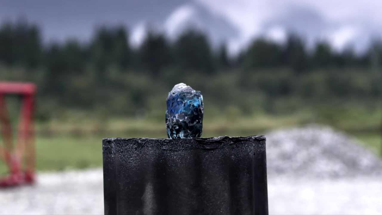 A blue-tinted rock perches on a dark, weathered surface. The backdrop is a blurred landscape of trees and mountains under an overcast sky.
