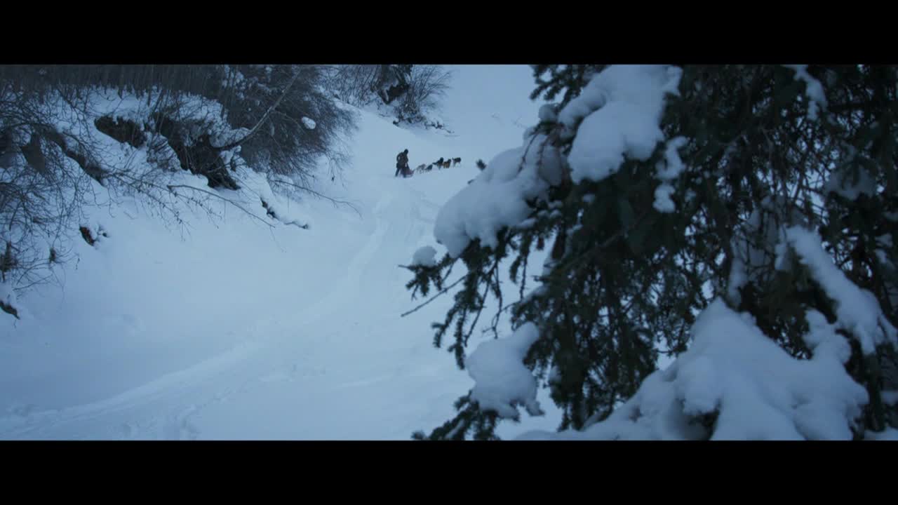 A dog sled team pulls a figure up a snow-covered slope, the dogs' breath visible in the cold air. The scene is framed by a snow-laden evergreen tree.
