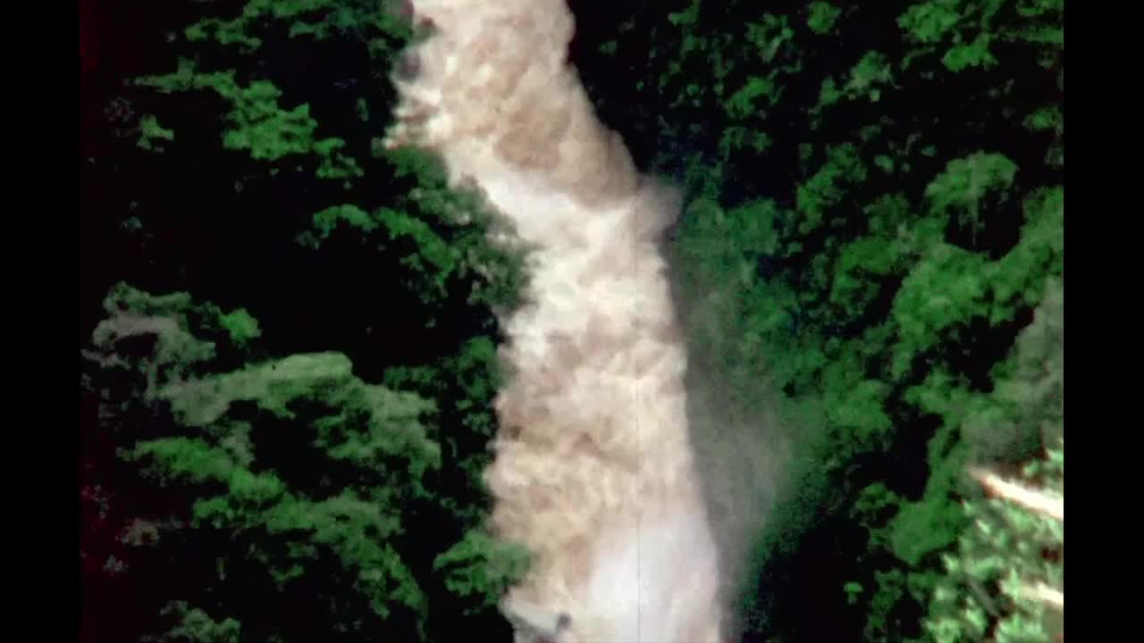 A torrent of muddy water rushes through a narrow gorge, framed by dense green foliage. The river's churning surface is a stark contrast to the still, dark green of the surrounding trees.
