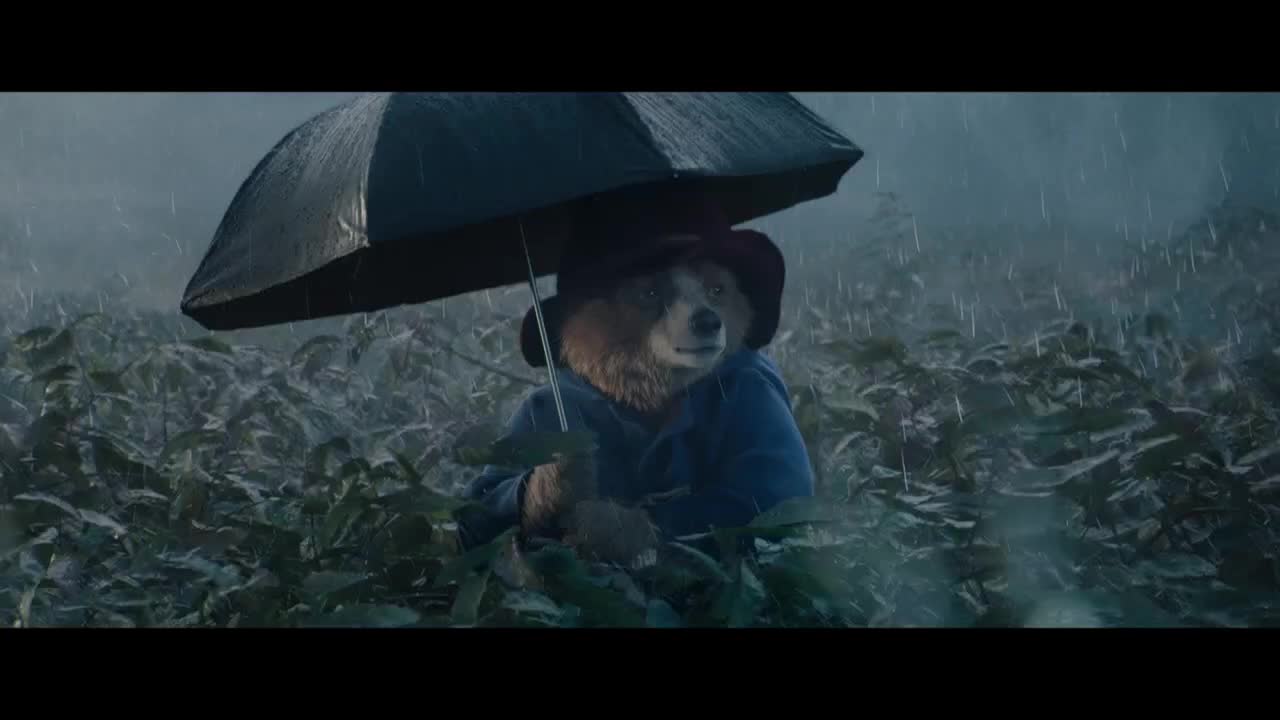 Paddington Bear, in his blue coat and hat, shelters from the downpour under a black umbrella. Rain streaks across the screen as he stands in a field of tall, green plants.
