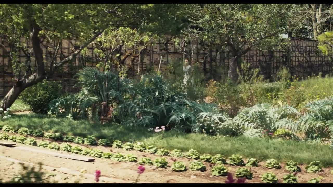 Rows of lettuce and artichokes are planted in a garden, with a stone wall and trees providing a backdrop. Sunlight filters through the leaves, and the scene feels peaceful.
