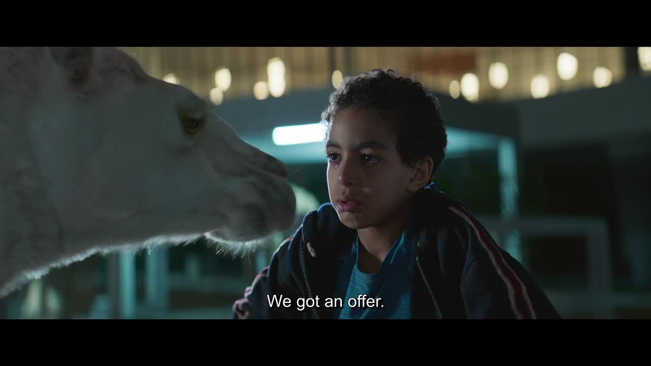 A young boy, in a blue jacket, looks up at a white camel. The words "We got an offer" appear on the screen, a moment from a Canadian Crave 4 production.
