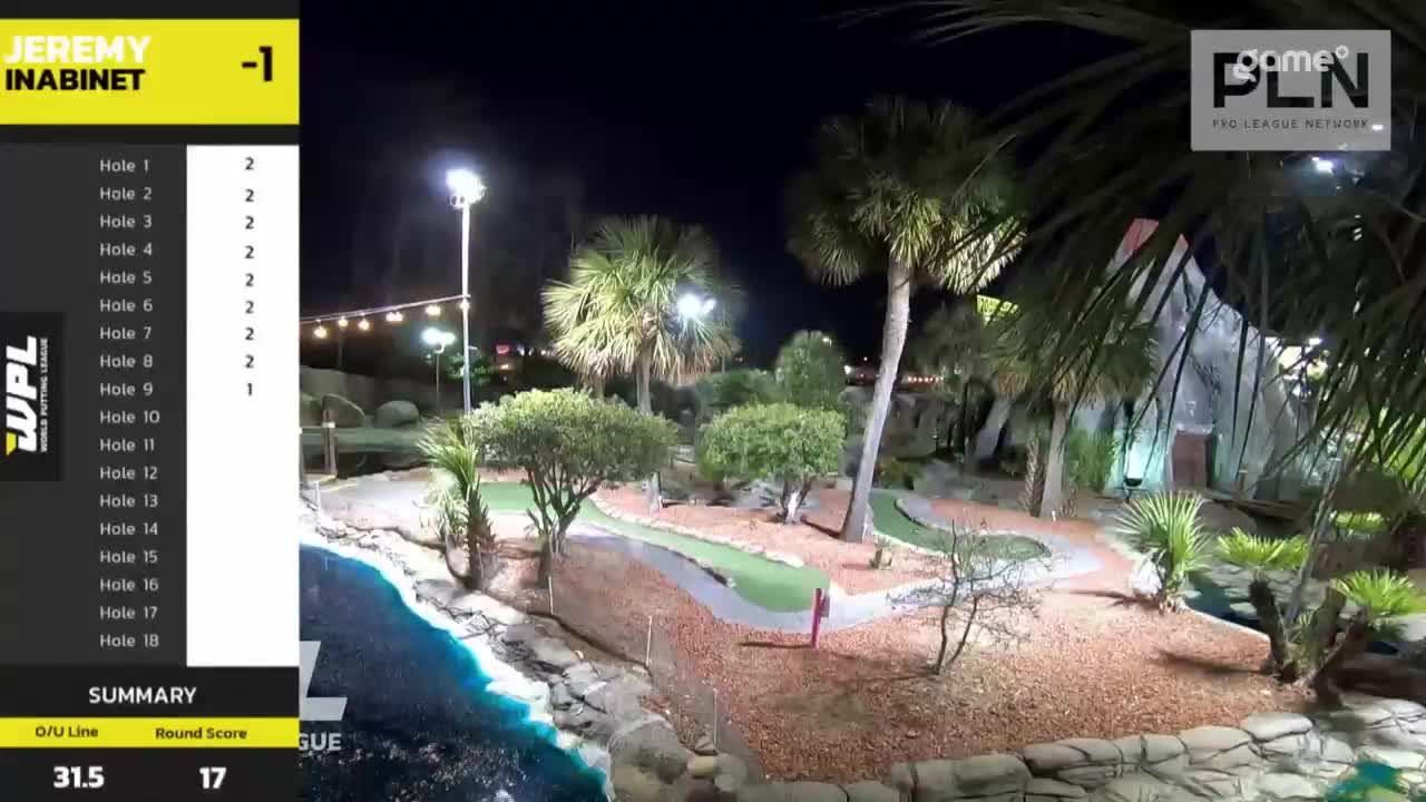 Under the bright lights, a miniature golf course is set against a dark sky. Palm trees and small shrubs surround the green fairways and water features.

