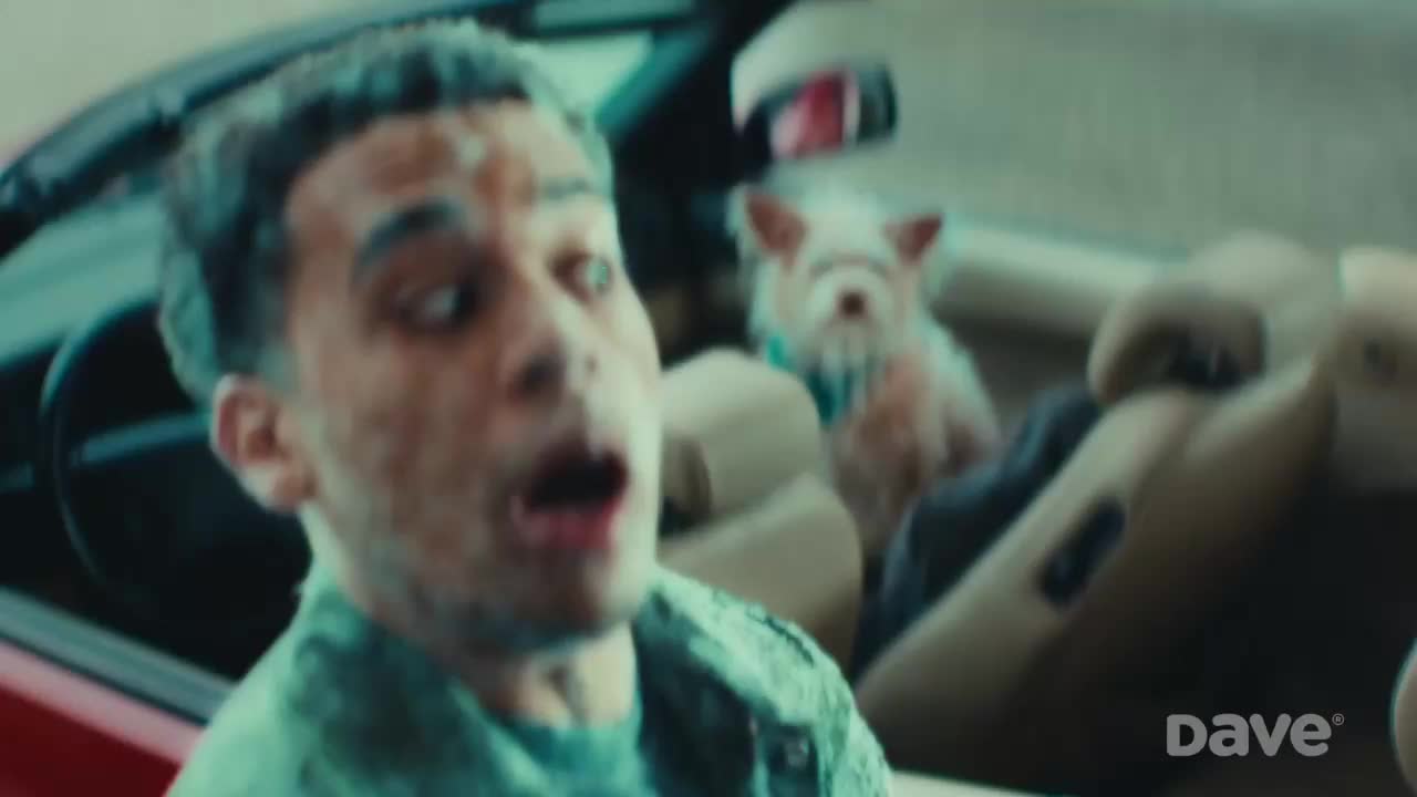 A man with a surprised expression is in the driver's seat of a convertible, his mouth open. A small white dog with a teal collar sits in the passenger seat behind him.