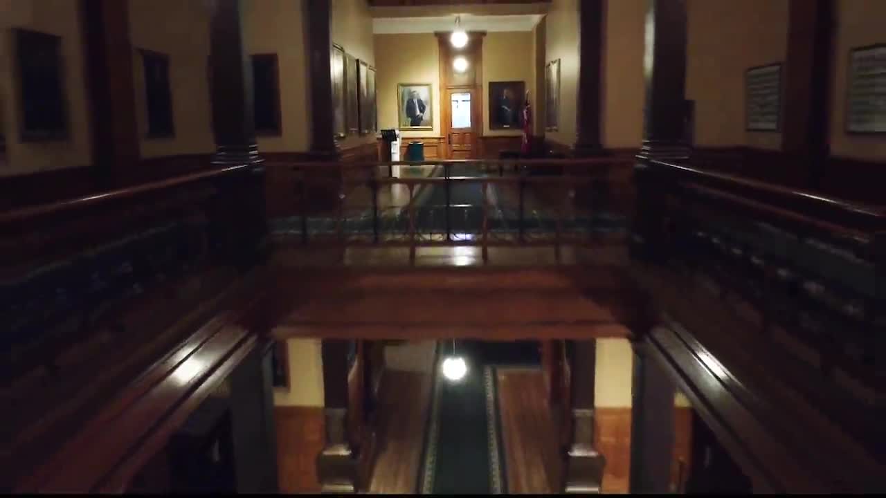 The Legislative Assembly of Ontario's hallway stretches ahead, lit by hanging lights. Portraits line the walls, and a green carpet guides the eye toward a distant door.
