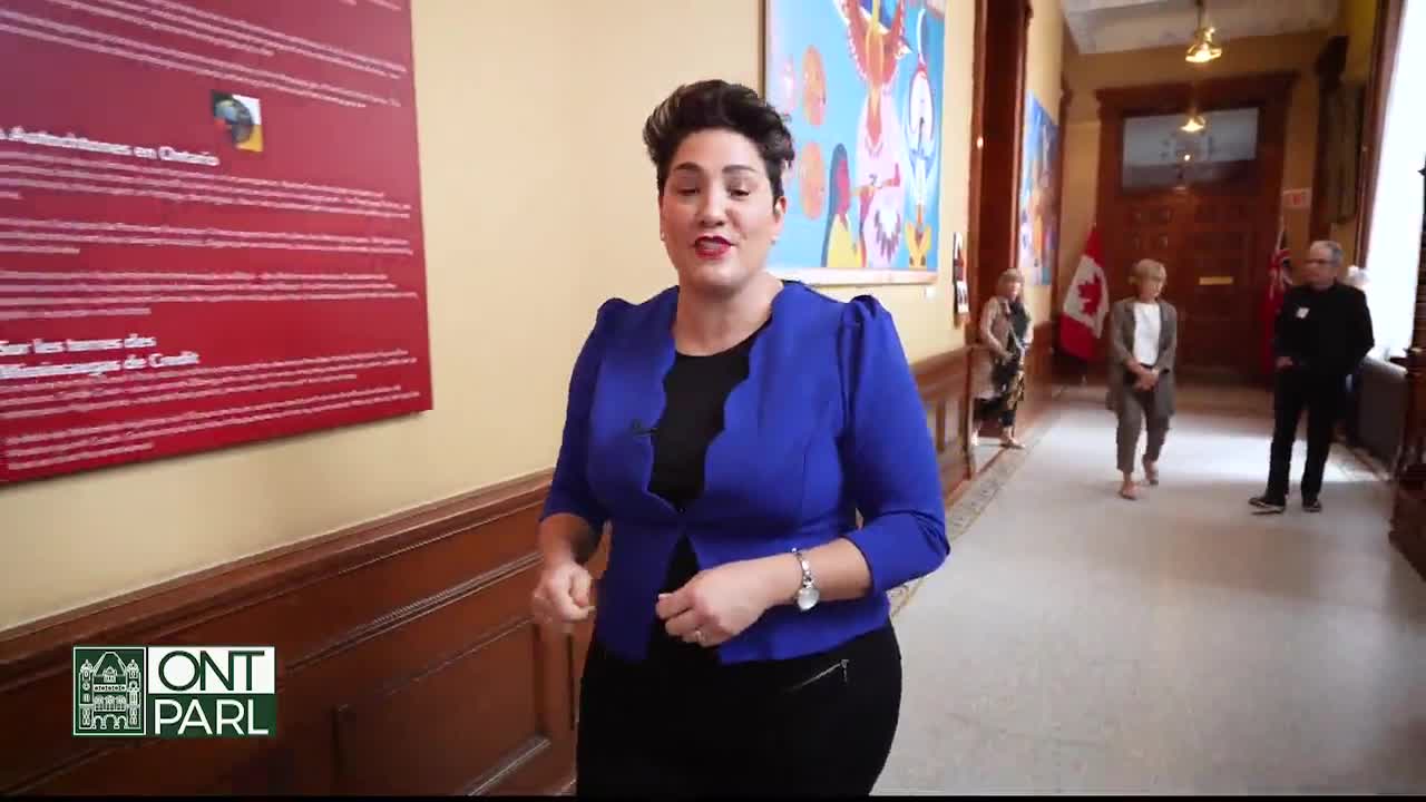 A woman in a bright blue blazer speaks directly to the camera in a hallway of the Legislative Assembly of Ontario. Other people walk past, and the Canadian flag hangs in the background.
