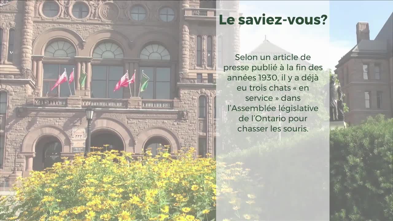 Flags flutter on the balcony of the Legislative Assembly of Ontario. A patch of bright yellow flowers blooms in front of the stone building.