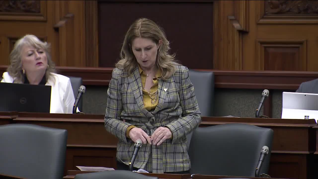 A woman in a grey plaid jacket speaks at a podium in the Legislative Assembly of Ontario. Another woman in a white jacket looks on from behind a laptop.