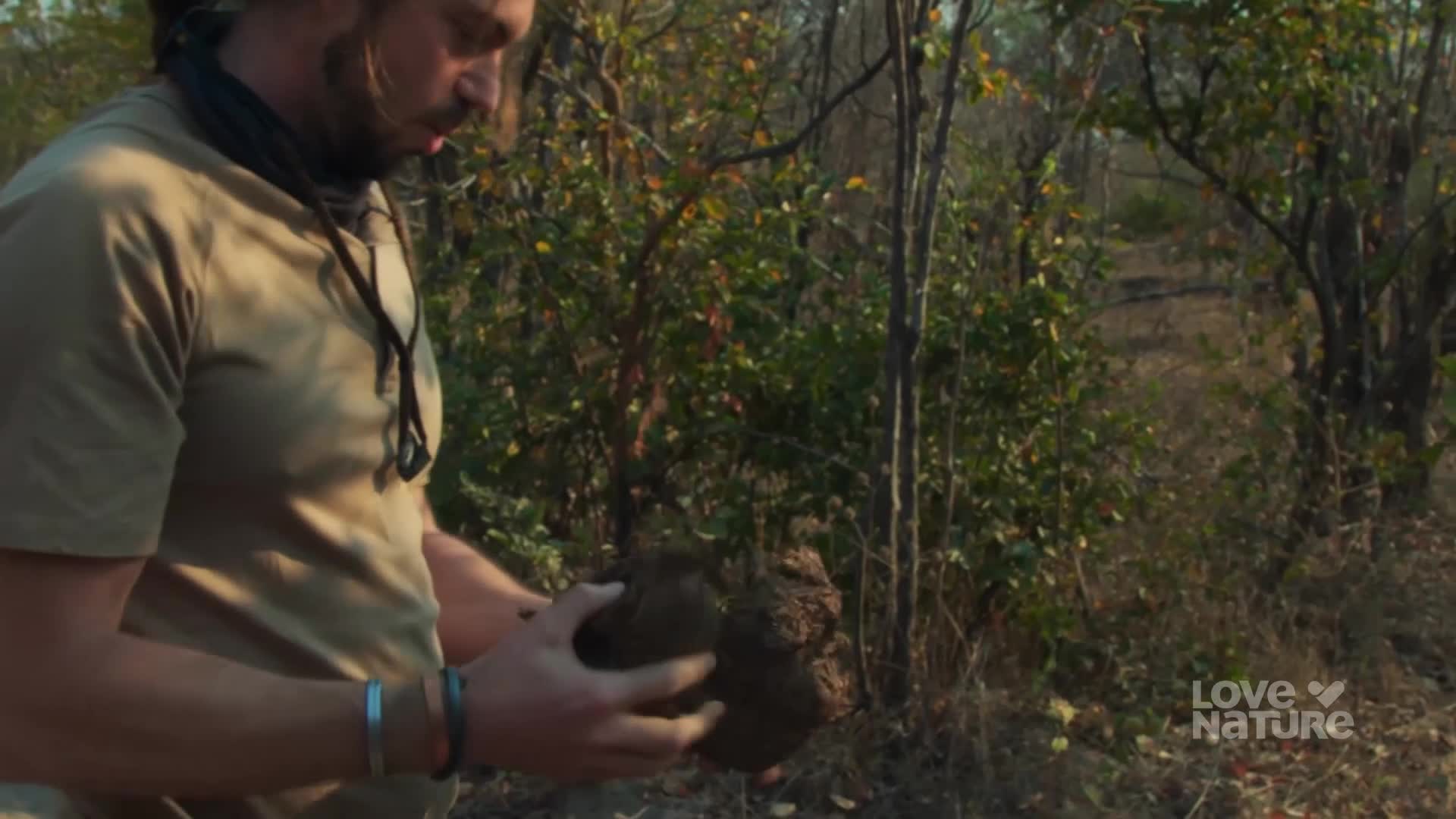A man is carefully examining a dark, textured object in his hands. The scene unfolds in a wooded area, with the Love Nature logo visible in the corner.
