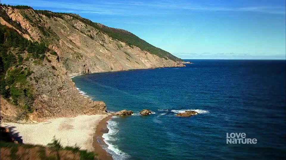 The ocean crashes against a rocky beach, the waves a deep turquoise. A steep cliff, dotted with trees, rises dramatically from the water.
