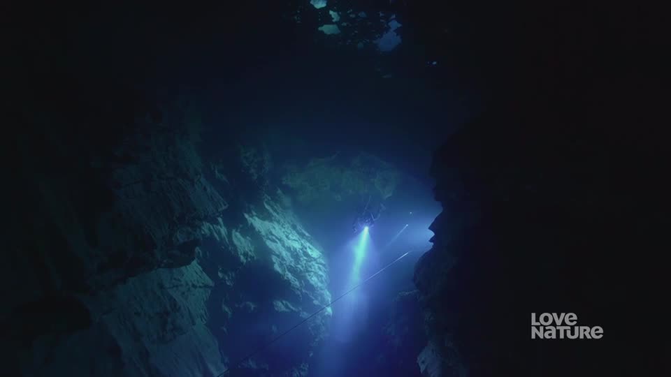A diver's light pierces the dark water, illuminating the rough rock walls of a submerged cave. Lines stretch out, guiding the way through the underwater passage.
