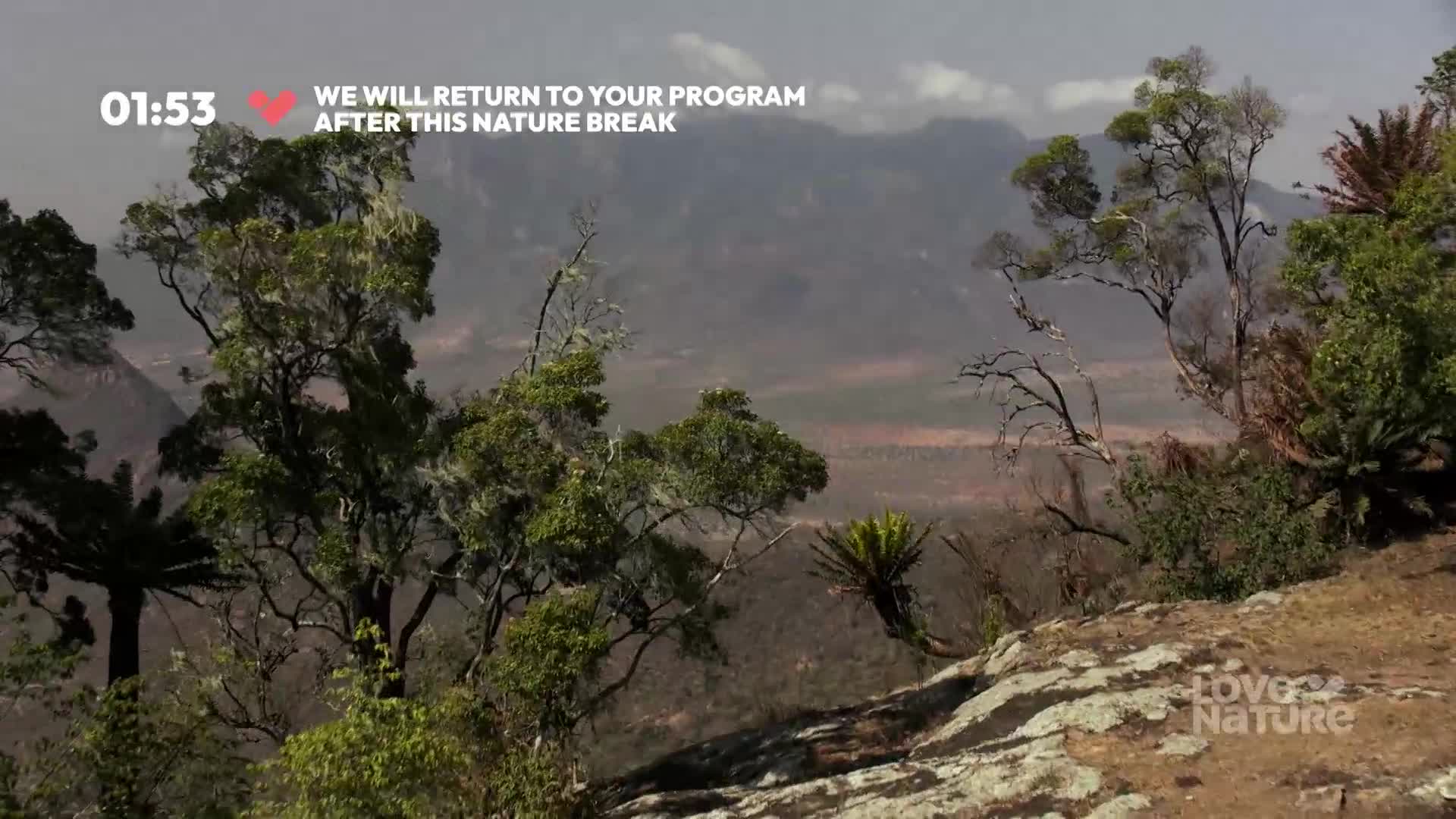 From this vantage point, the landscape unfolds with a mix of trees and rocky terrain. The distant mountains are partially obscured by a hazy sky.
