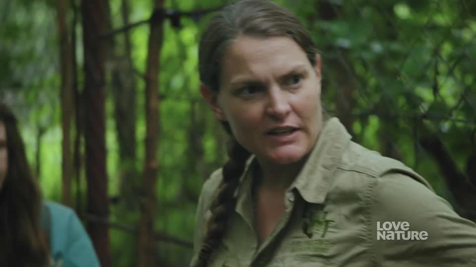 A woman in a khaki shirt speaks, her gaze directed off-camera. The background is a tangle of green foliage and thin tree trunks.
