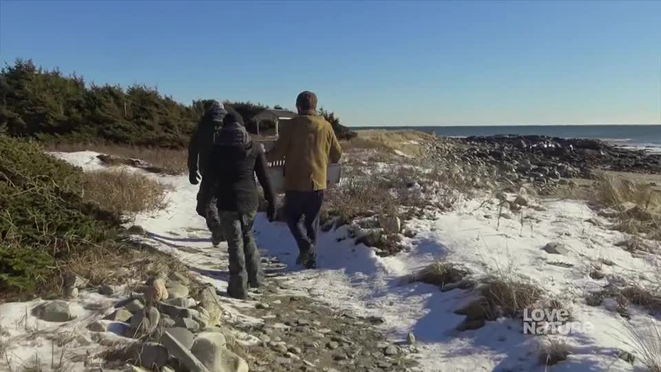 Three people walk down a snowy path, the one in the middle carrying something in a box. The ocean stretches out to the right under a bright blue sky.
