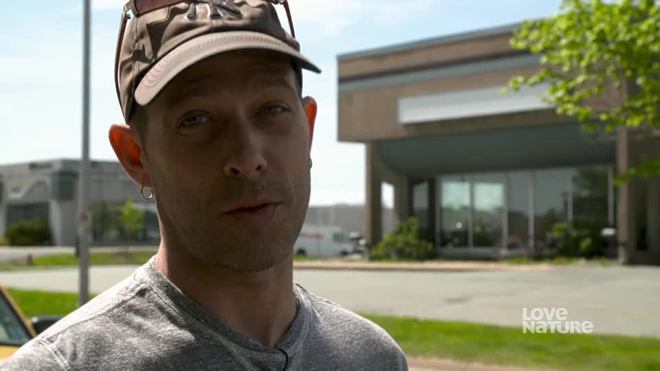 A man in a baseball cap and a gray t-shirt is speaking, his gaze directed toward the camera. Behind him, a modern building with large windows sits under a bright sky.
