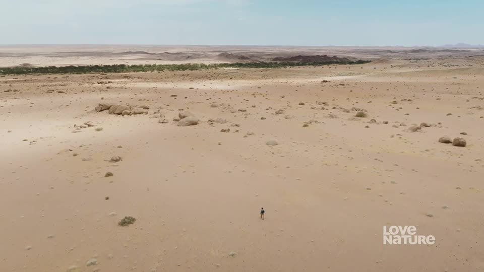 A lone figure walks across the vast, sandy expanse. The horizon is a distant line, with a strip of green vegetation barely visible in the far distance.
