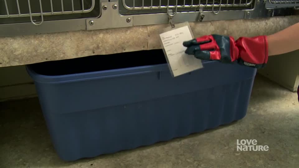 A gloved hand holds a small, handwritten paper in front of a blue bin. The bin sits beneath a metal cage, likely in a facility for animal care.
